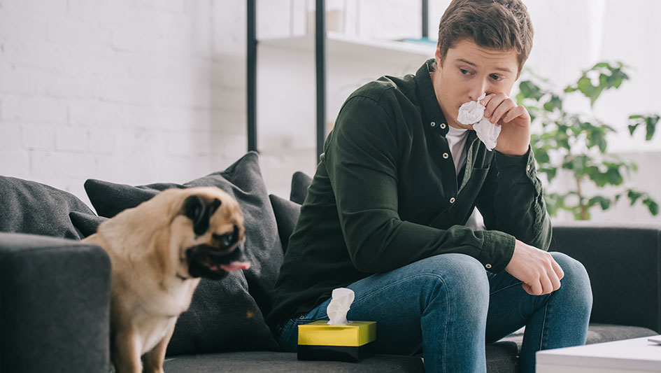 Purchasing an air purifier is one of the top methods to improve your residence’s indoor air quality. Find out more about the three top solutions. 